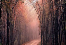 开云平台-JDG力克TSM，Lehends打破历史纪录，电竞传奇再添浓墨重彩